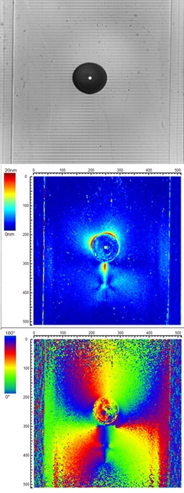 図2　圧力振動場に設置された気泡周辺に発生する流動複屈折計測の例（膨張時）