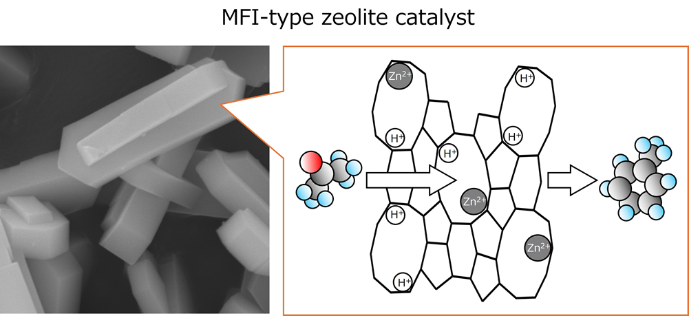 ゼオライト触媒/Zeolite Catalyst