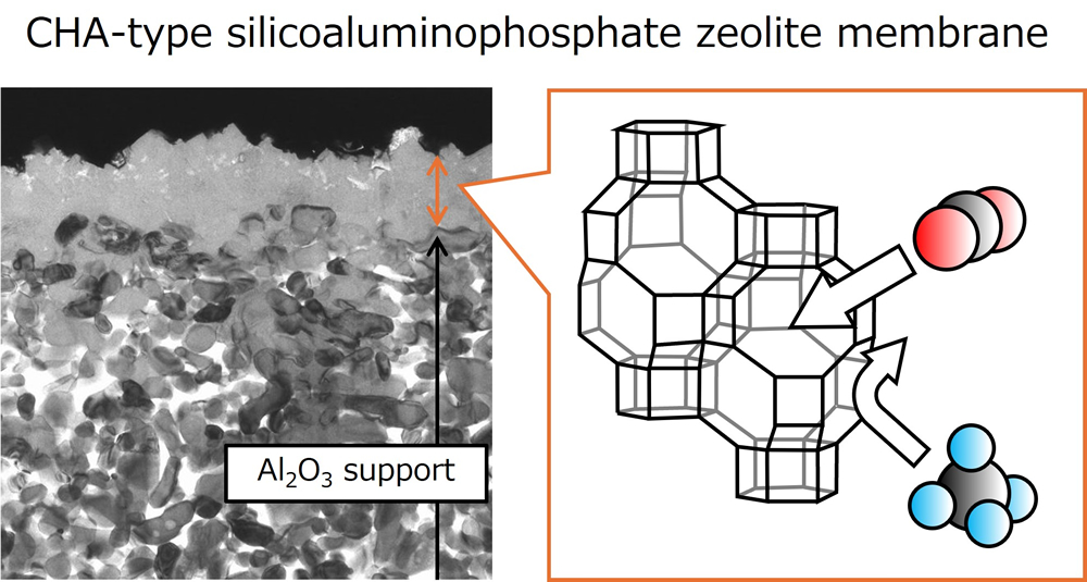 ゼオライト膜/Zeolite Membrane